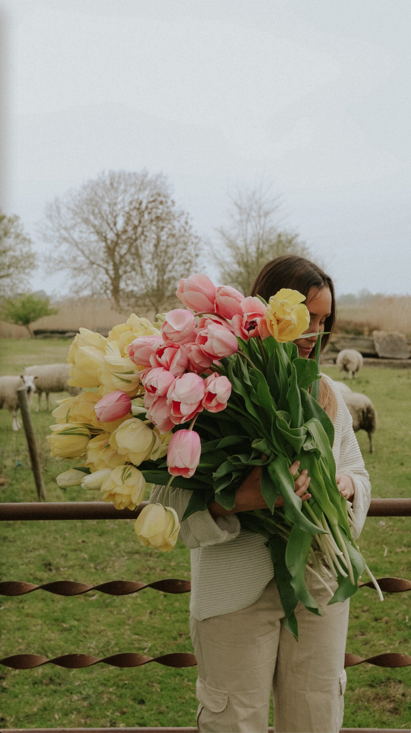 Tulpanpaket - Pastel Promise