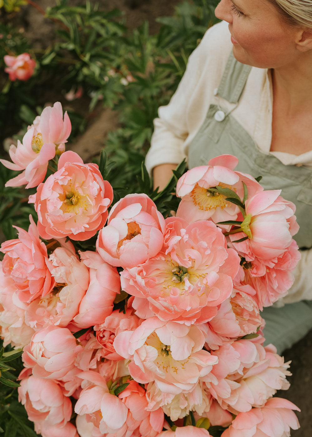 Peony - Hawaiian Coral