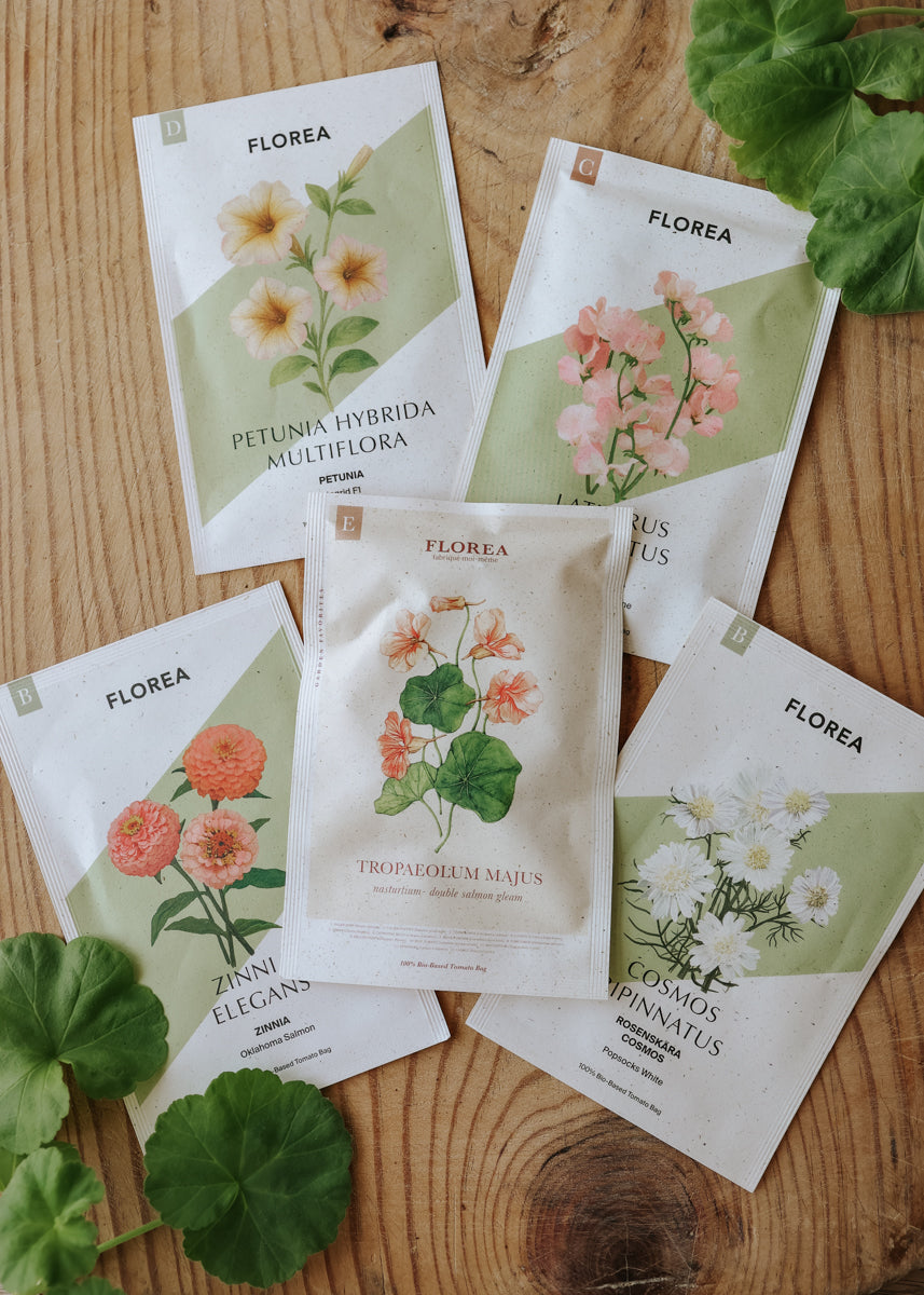 Fröpaket - Plantera i kruka