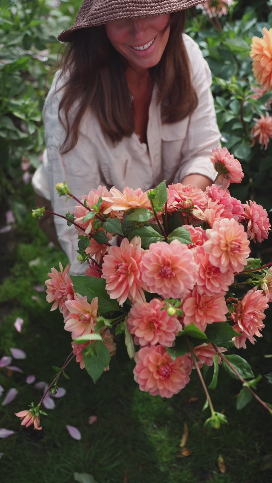 Dahlia - Yelno Harmony