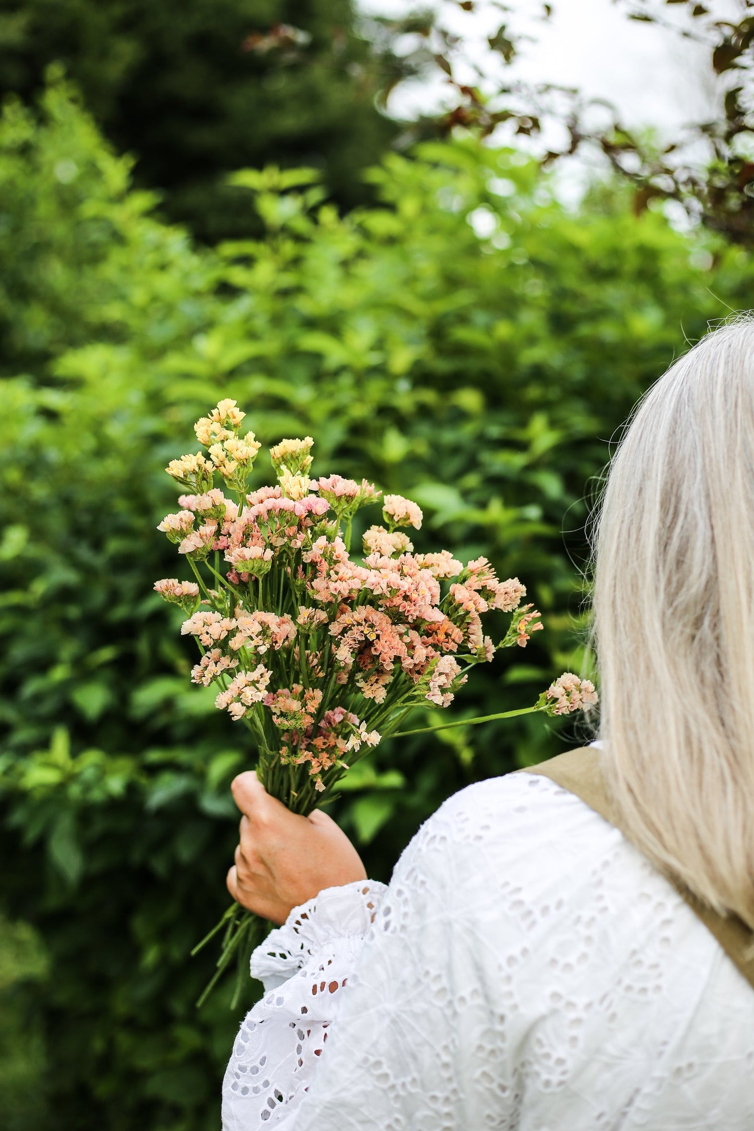 Sea Lavender - Fortune Apricot Shades