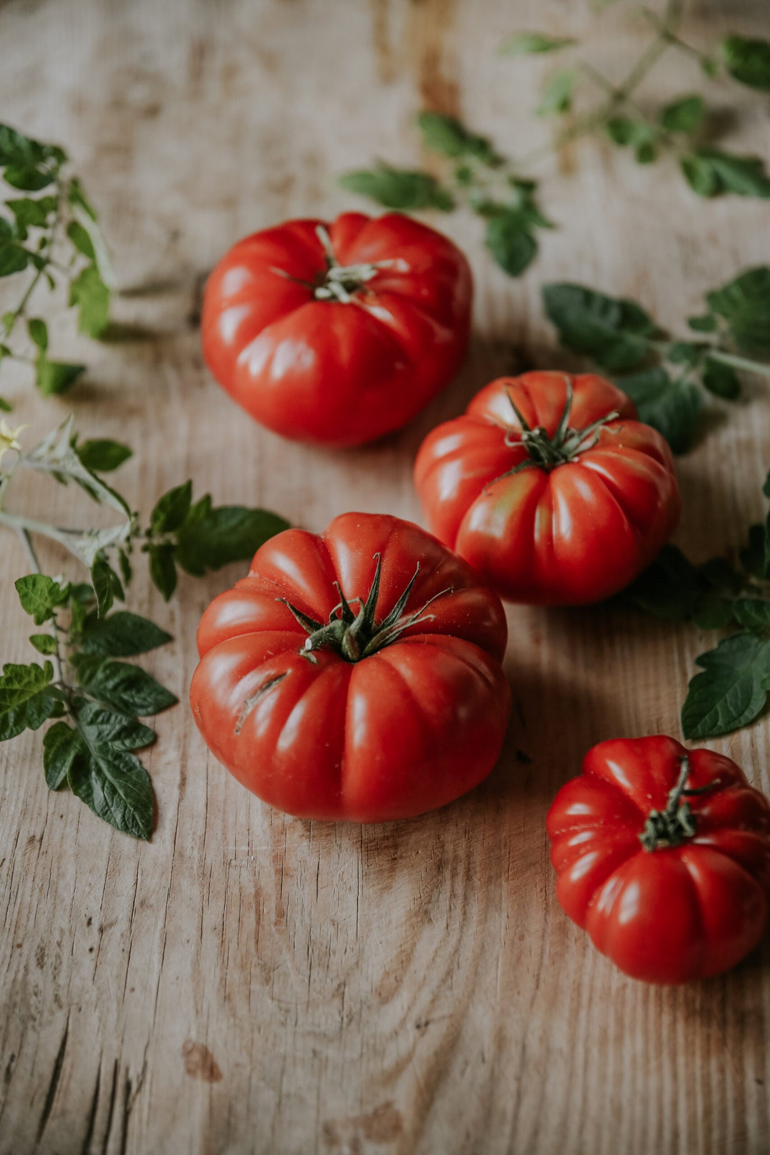 XL Bifftomat - Brutus