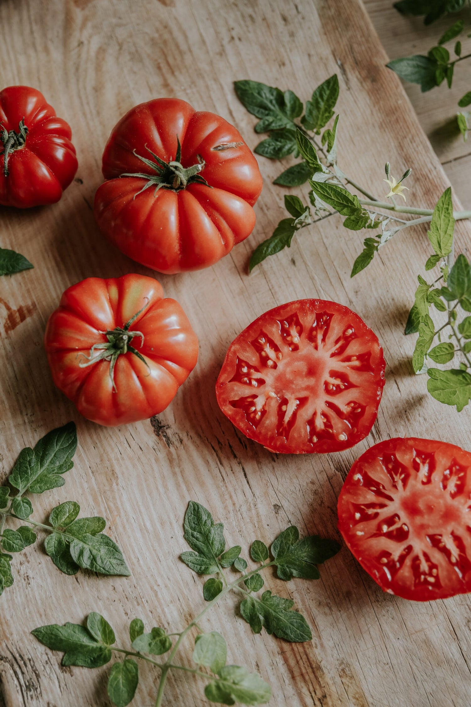 XL Bifftomat - Brutus