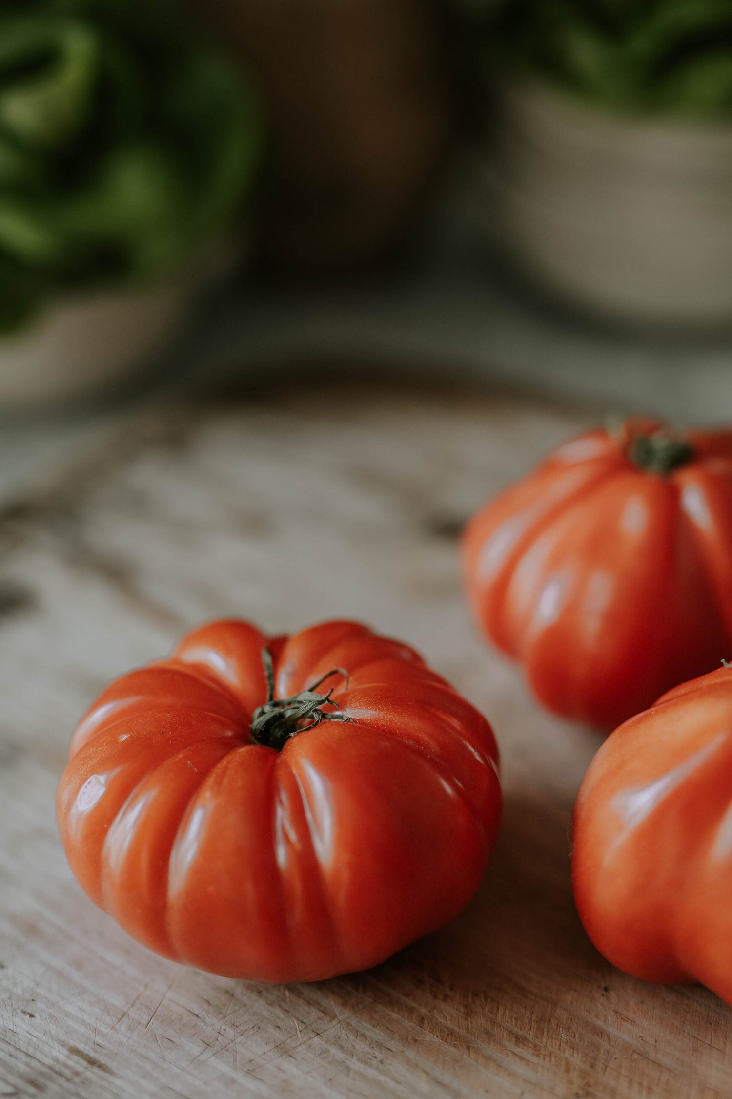 Fleischtomate - Marmande BIO