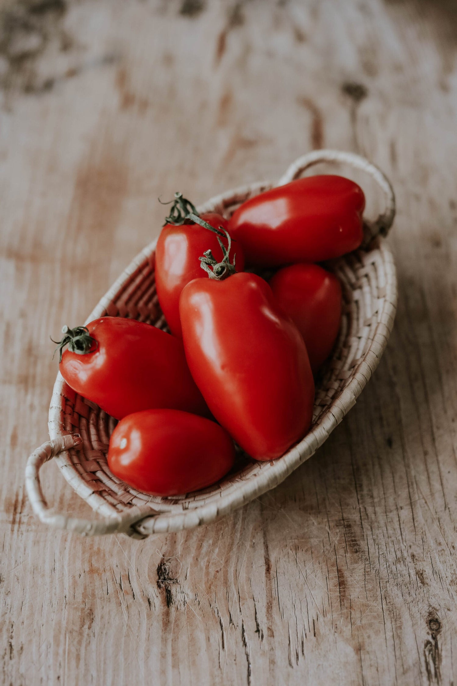 Plum tomato - San Marzano 2