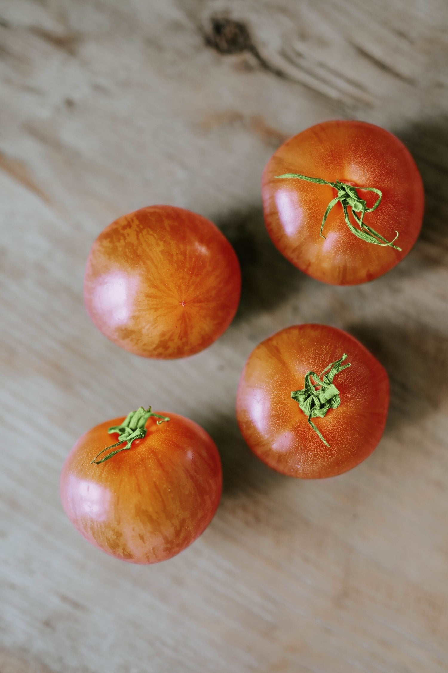 Tomato - Tigerella