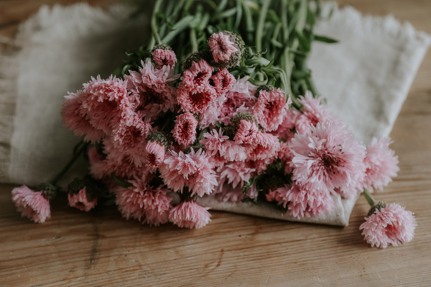 Cornflower - Pink Ball