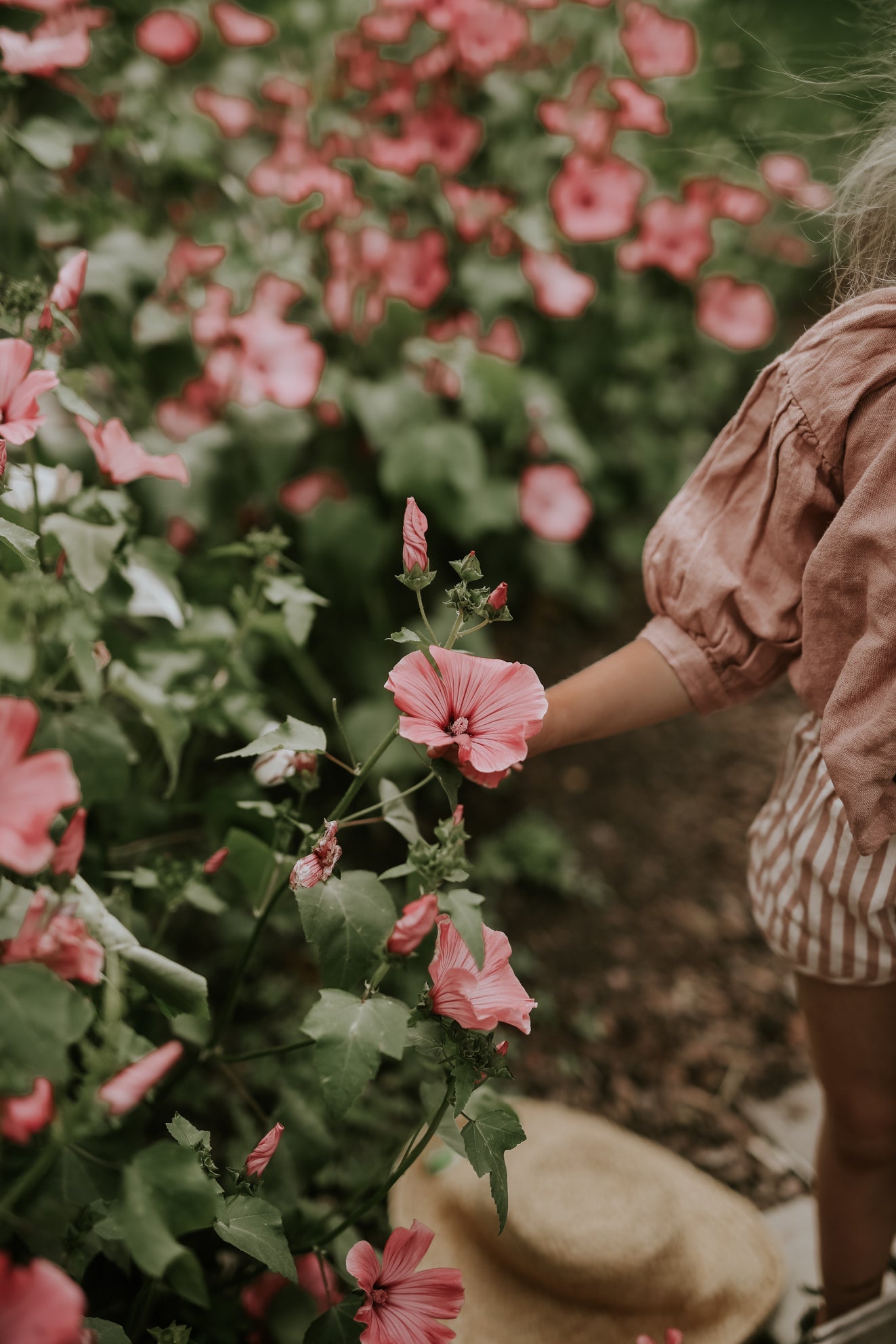 Mallow - Loveliness Rose Pink ECO
