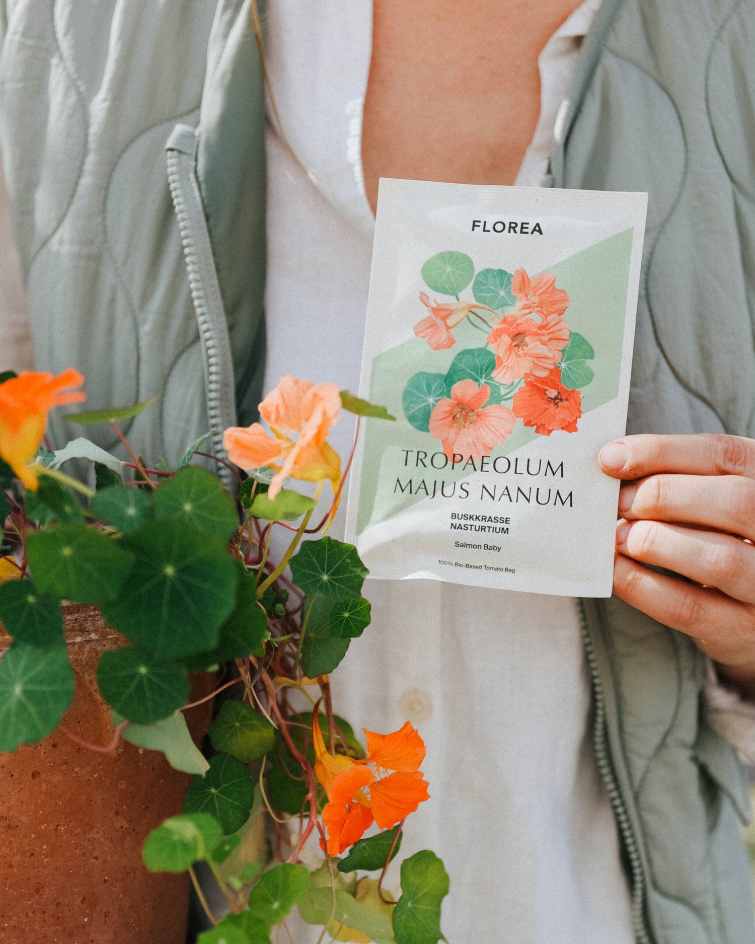 Buskkrasse - Salmon Baby