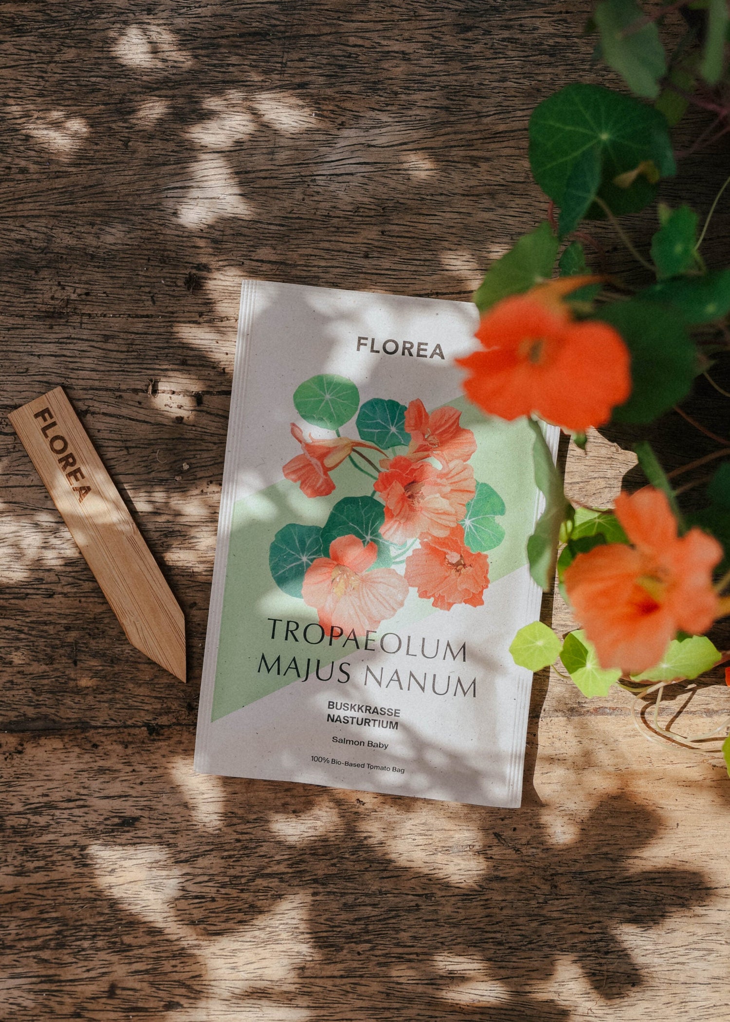 Buskkrasse - Salmon Baby