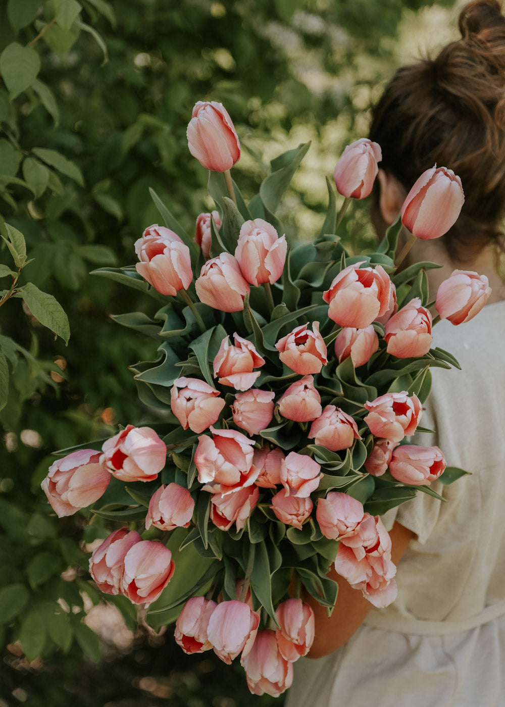 Tulip - Salmon Impression