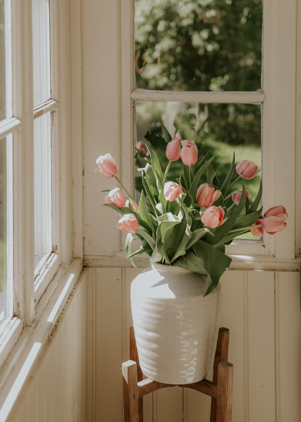 Tulip - Salmon Impression