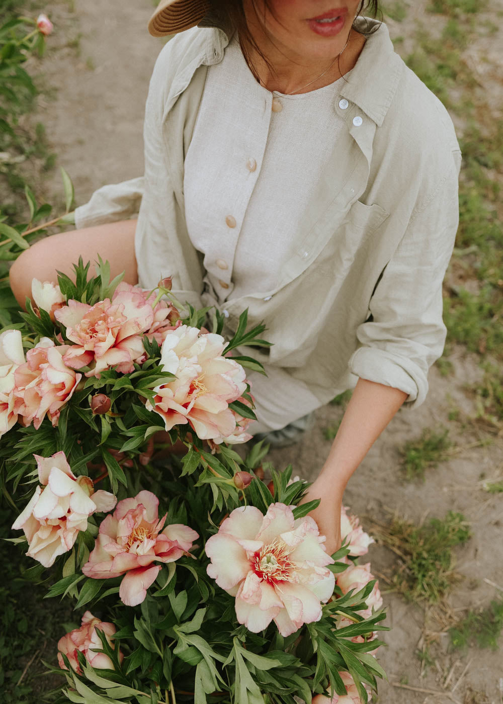 Peony - Scrumdidleumptious