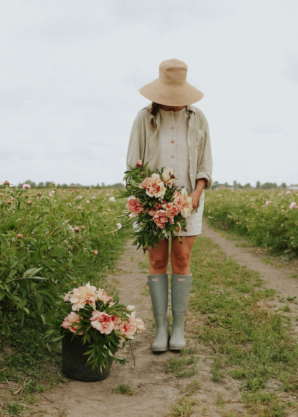 Pfingstrose - Scrumdidleumptious