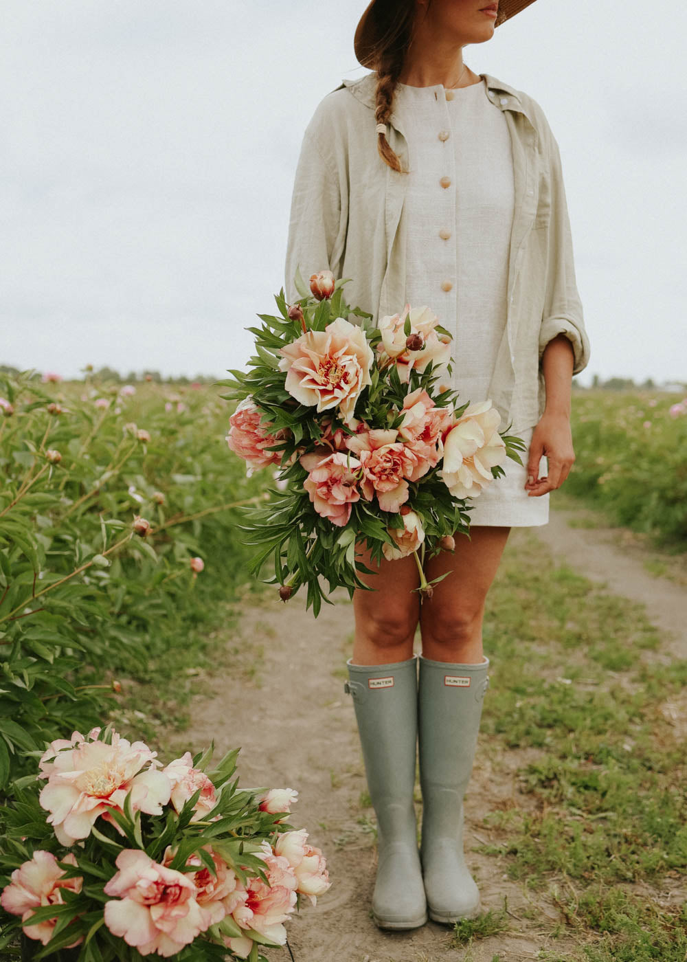 Pfingstrose - Scrumdidleumptious