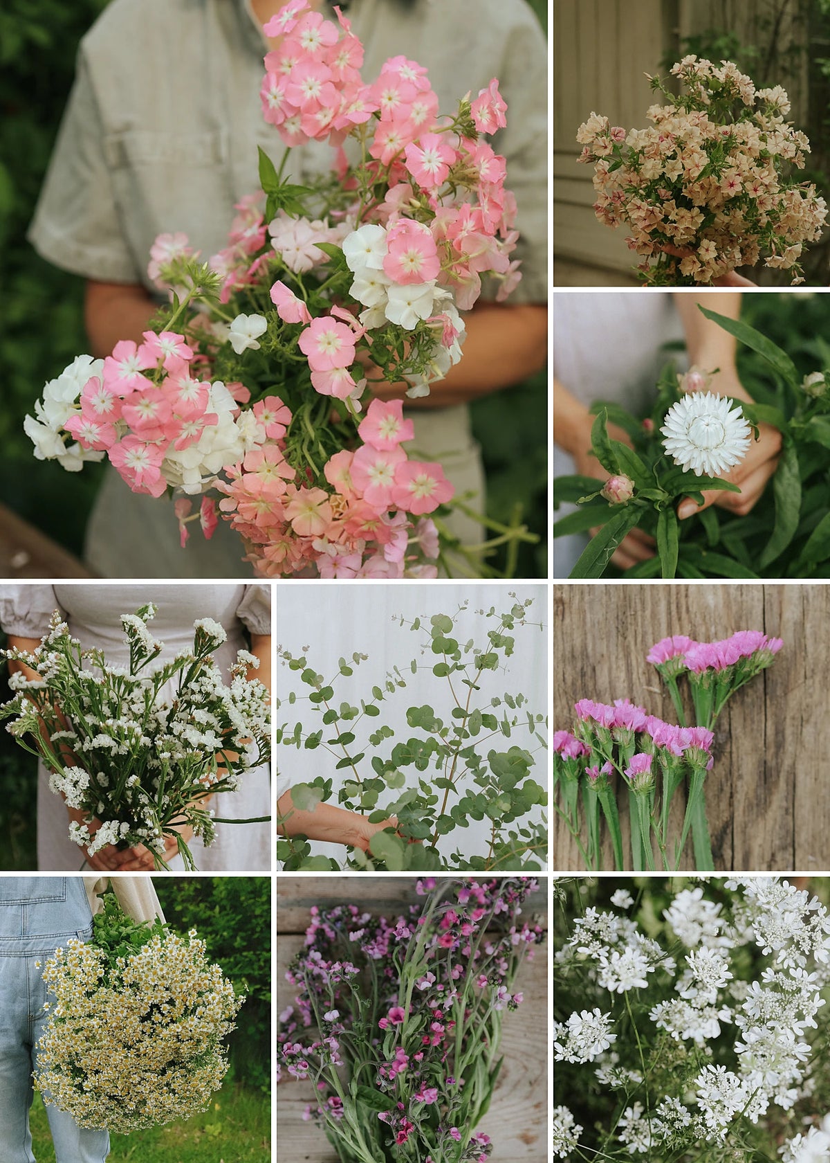 Green November - Grow Your Own Cut Flower Garden