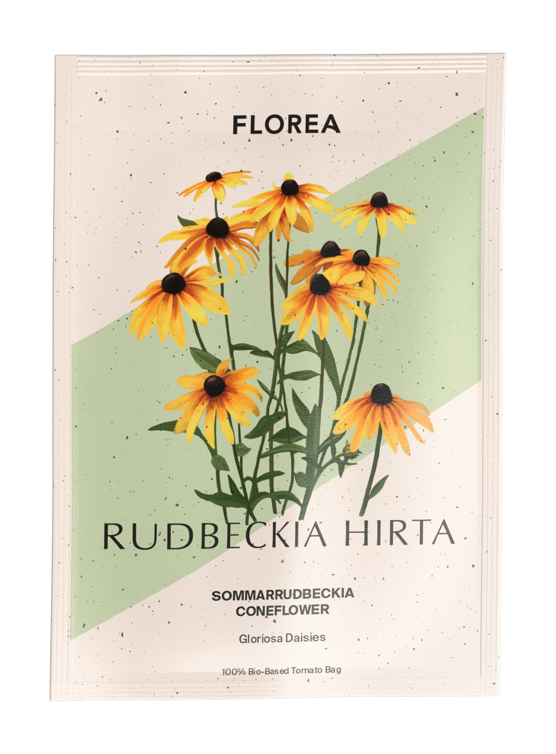 Sommarrudbeckia - Gloriosa Daisies