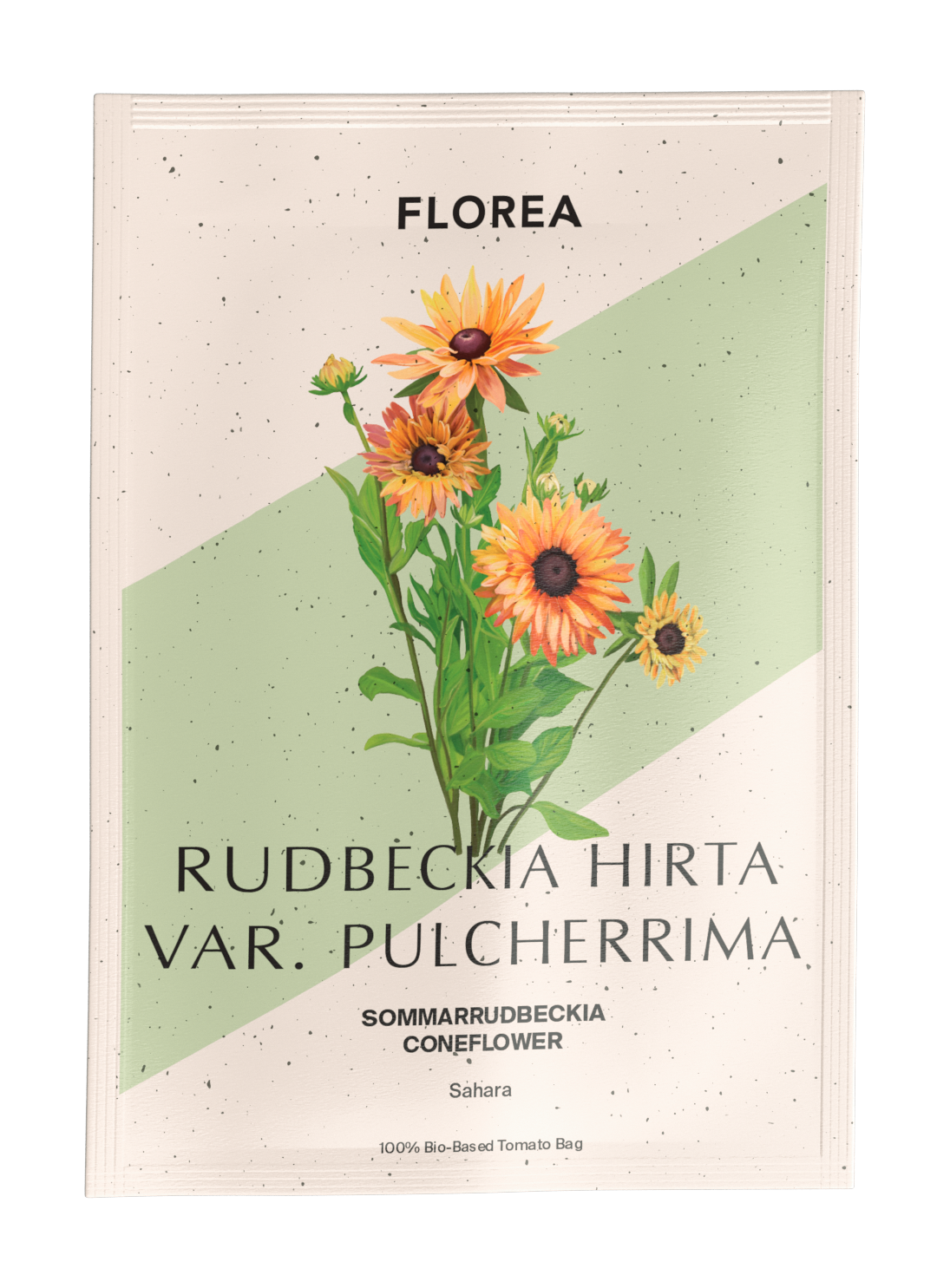 Sommarrudbeckia - Sahara