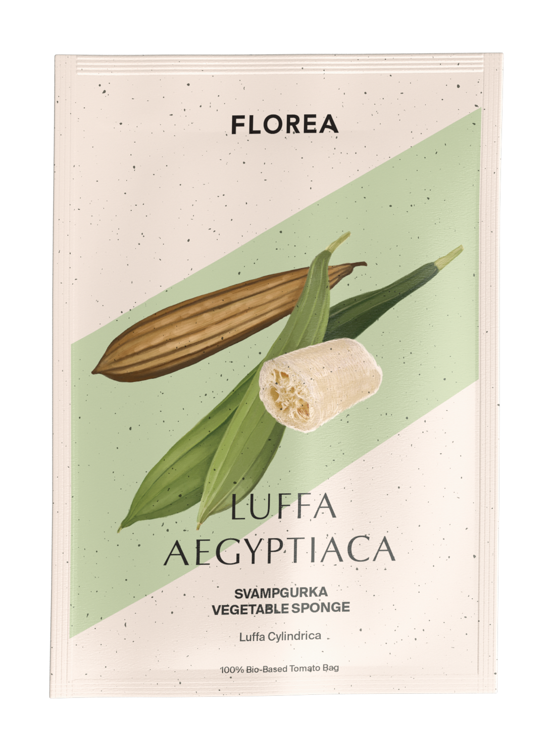 Svampgurka - Luffa cylindrica