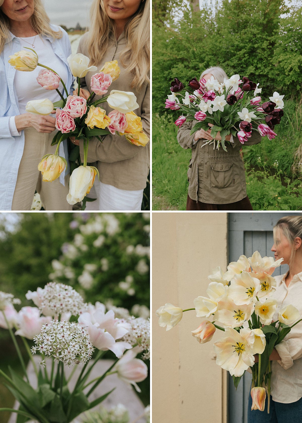 Green November - Floreas Favoriter