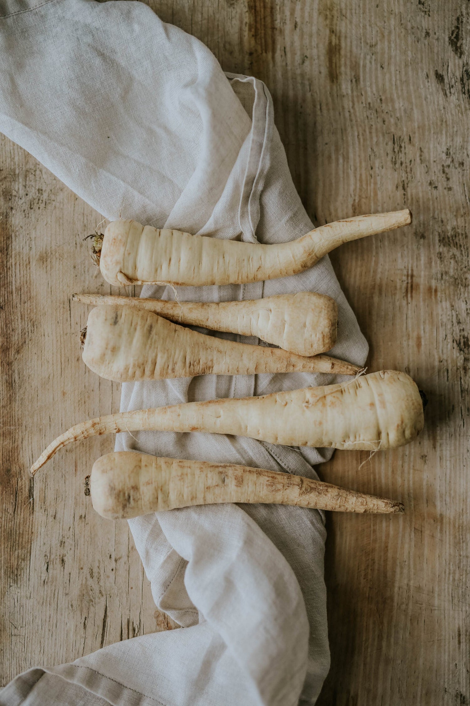 Parsnip - Guernsey