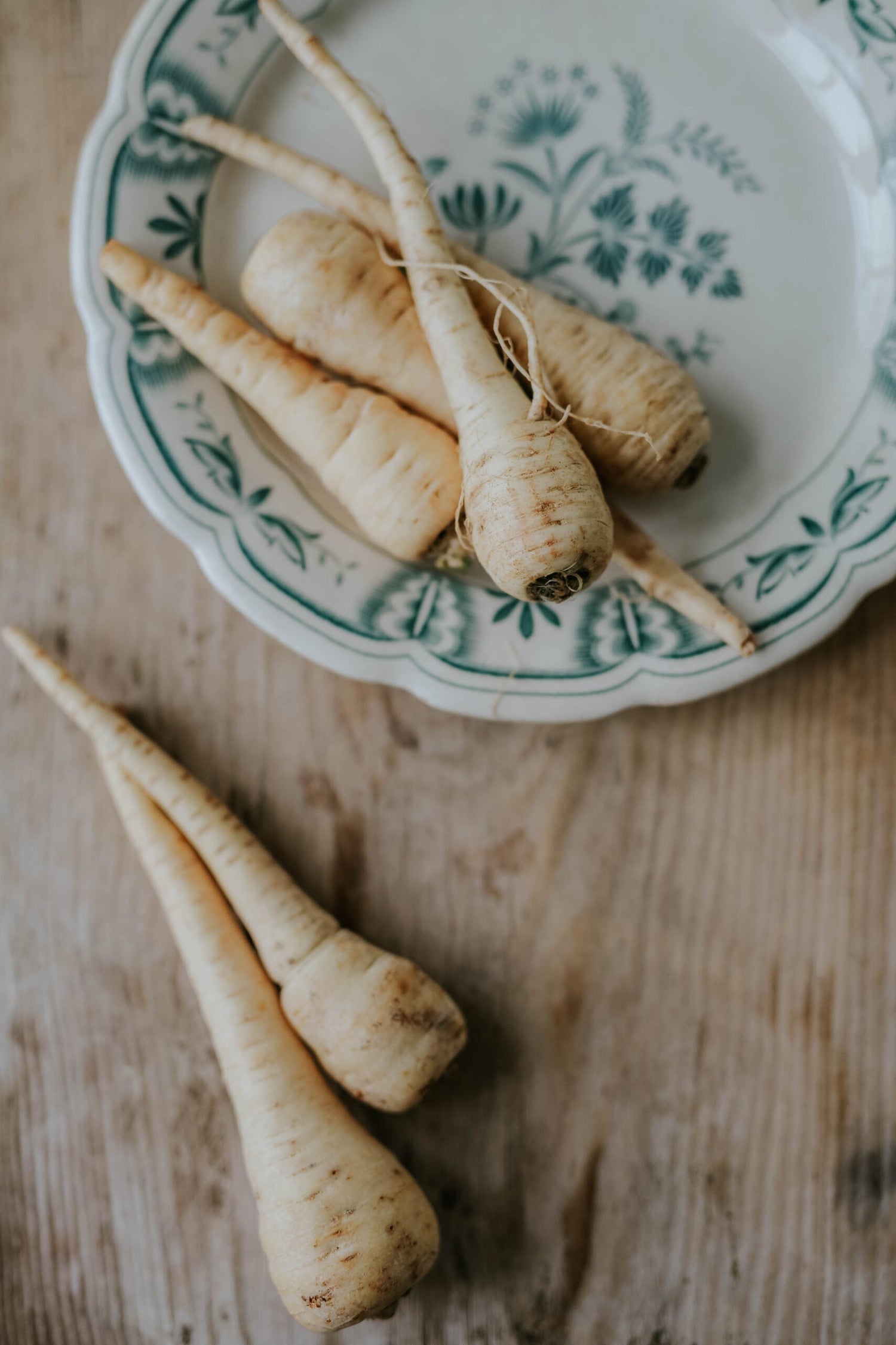 Palsternacka - White Gem