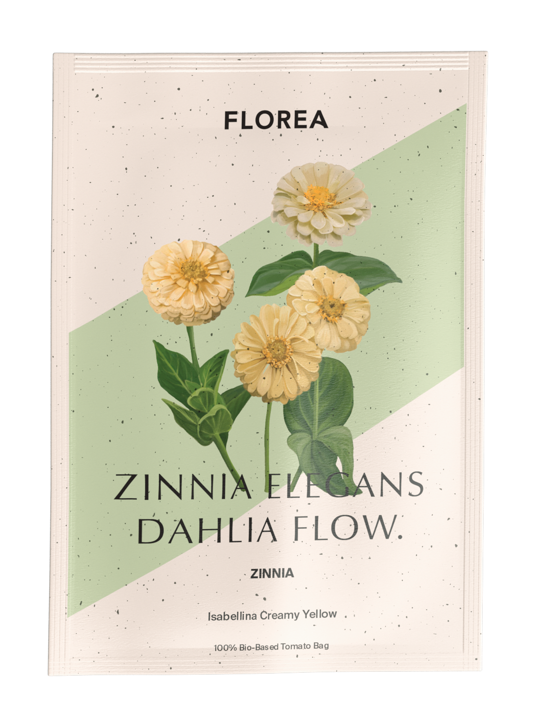 Zinnia - Dahl Flow Isabellina Creamy Yellow