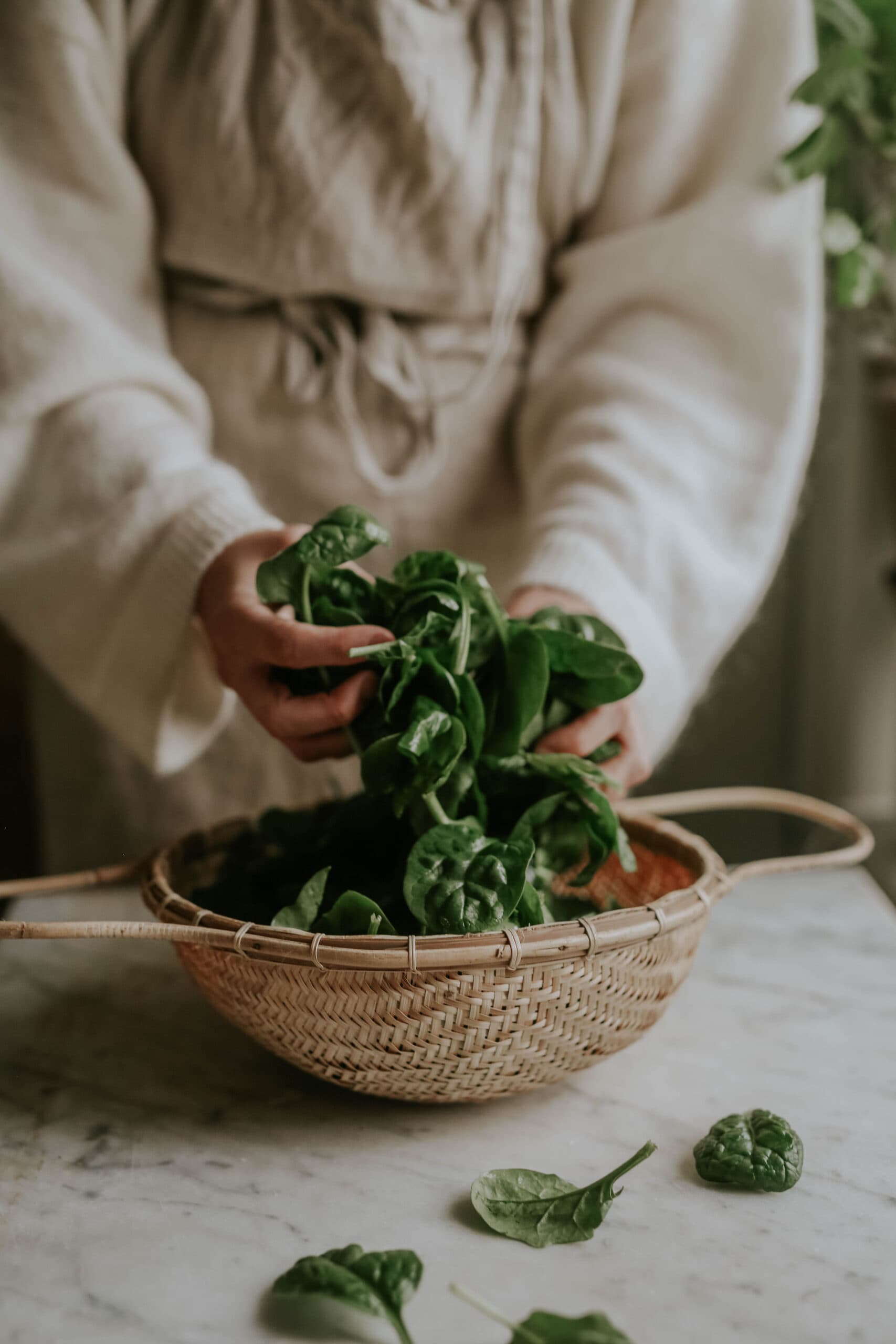 Varieties to grow in October