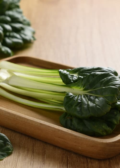 Grow Tatsoi