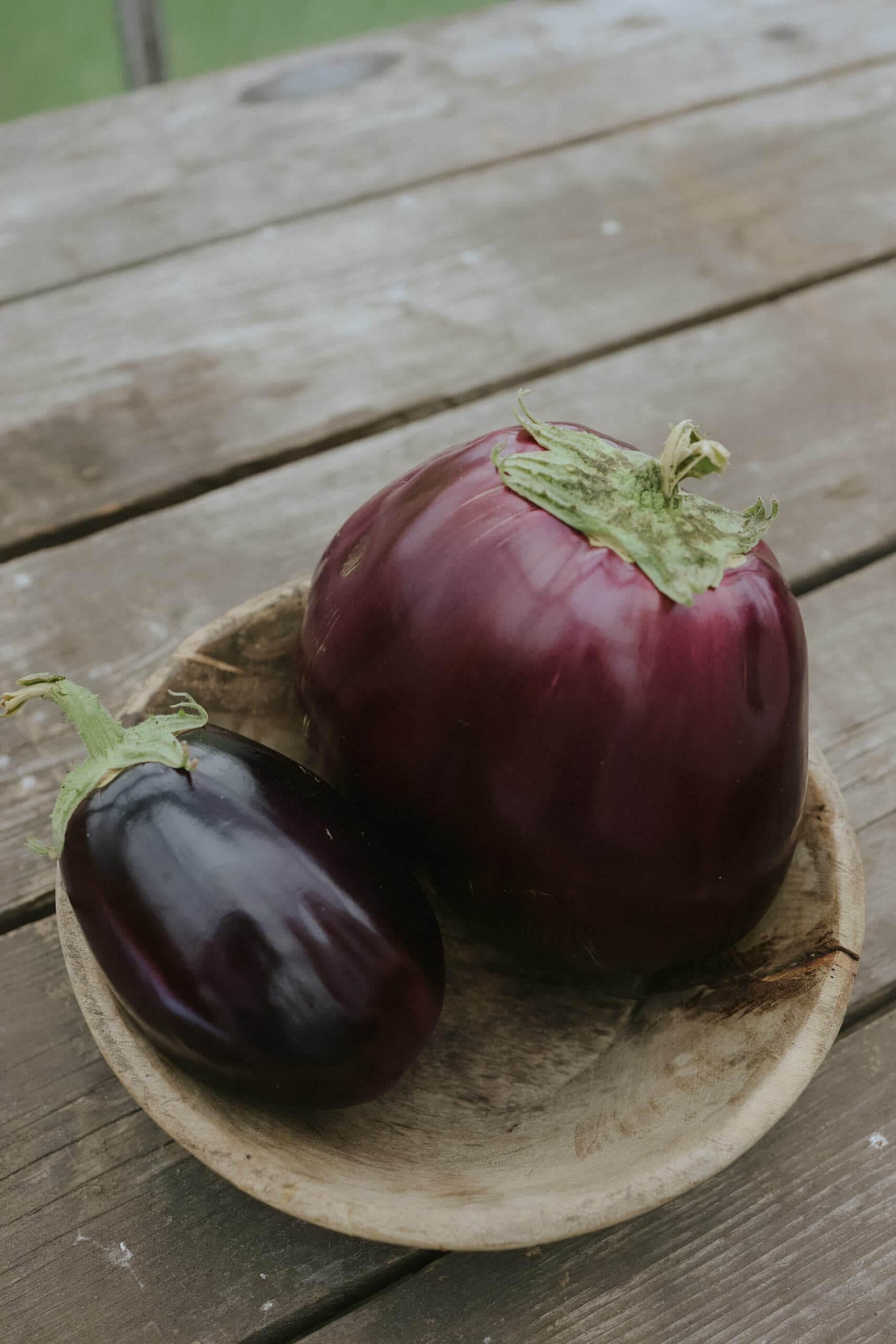 Dyrk Aubergine