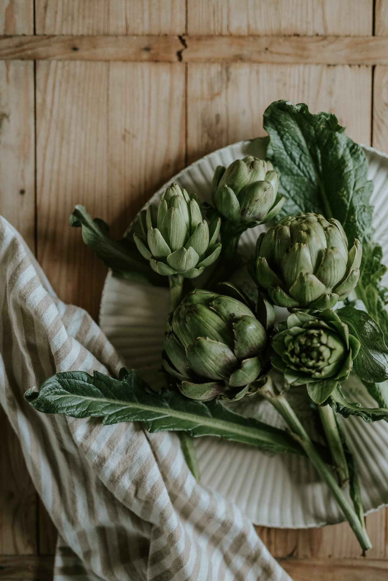 Grow Artichoke