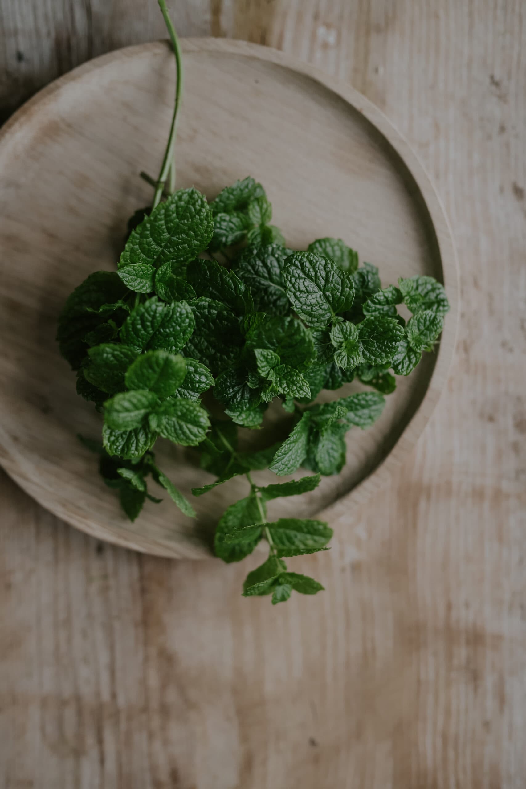Grow Mint
