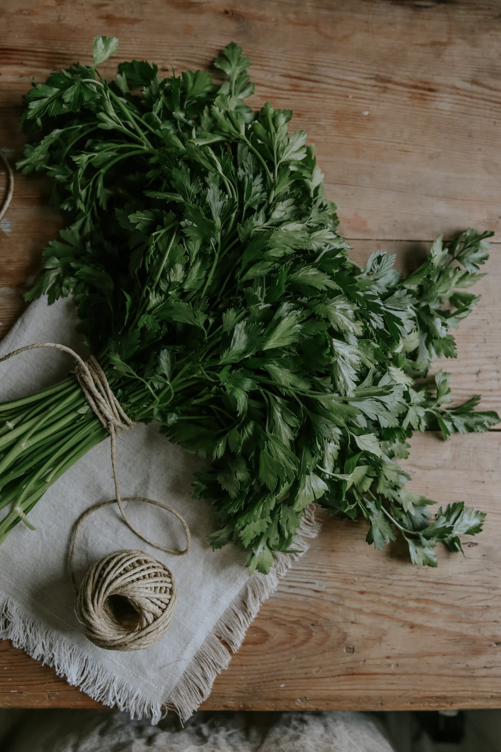 Grow Parsley