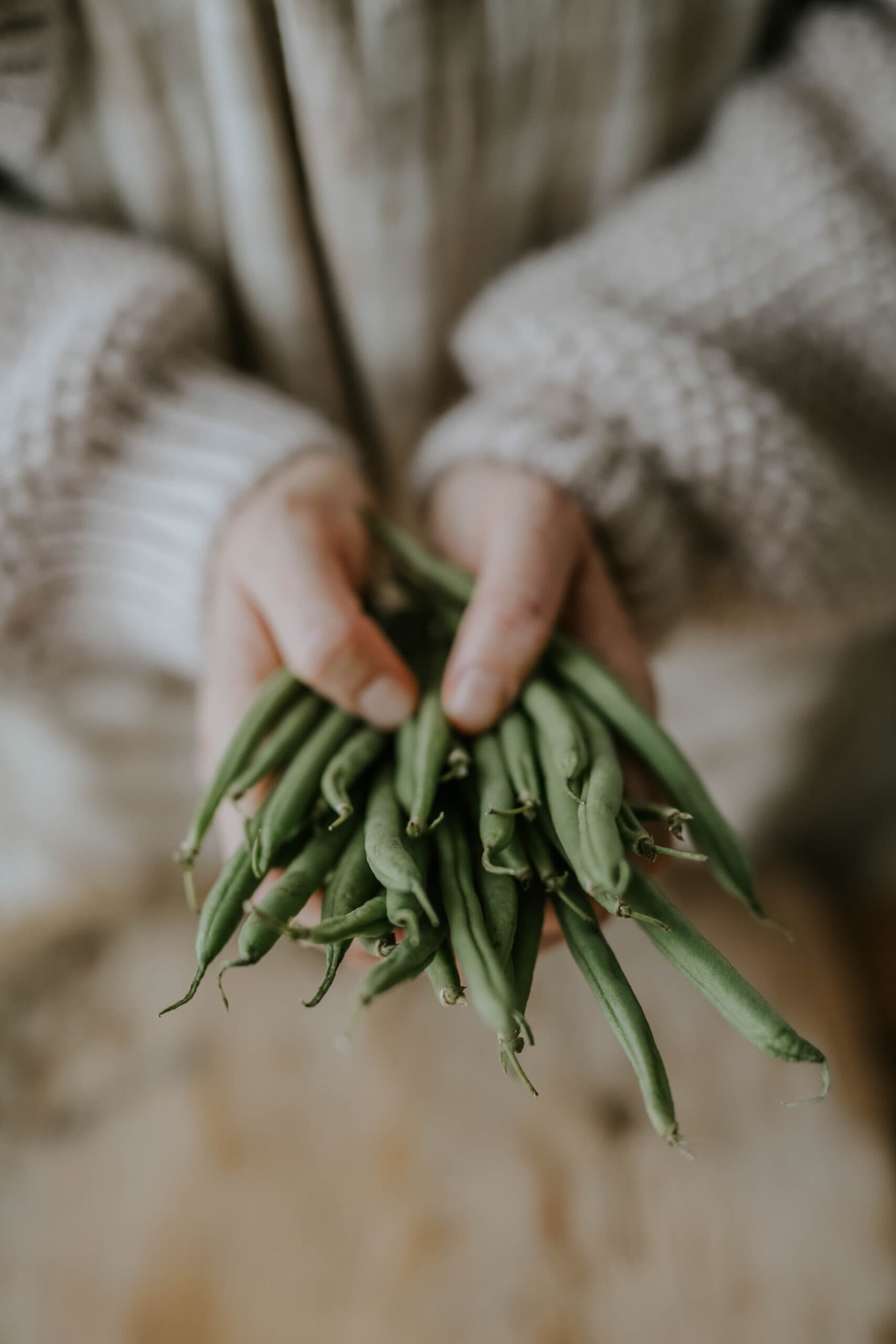 Grow Beans