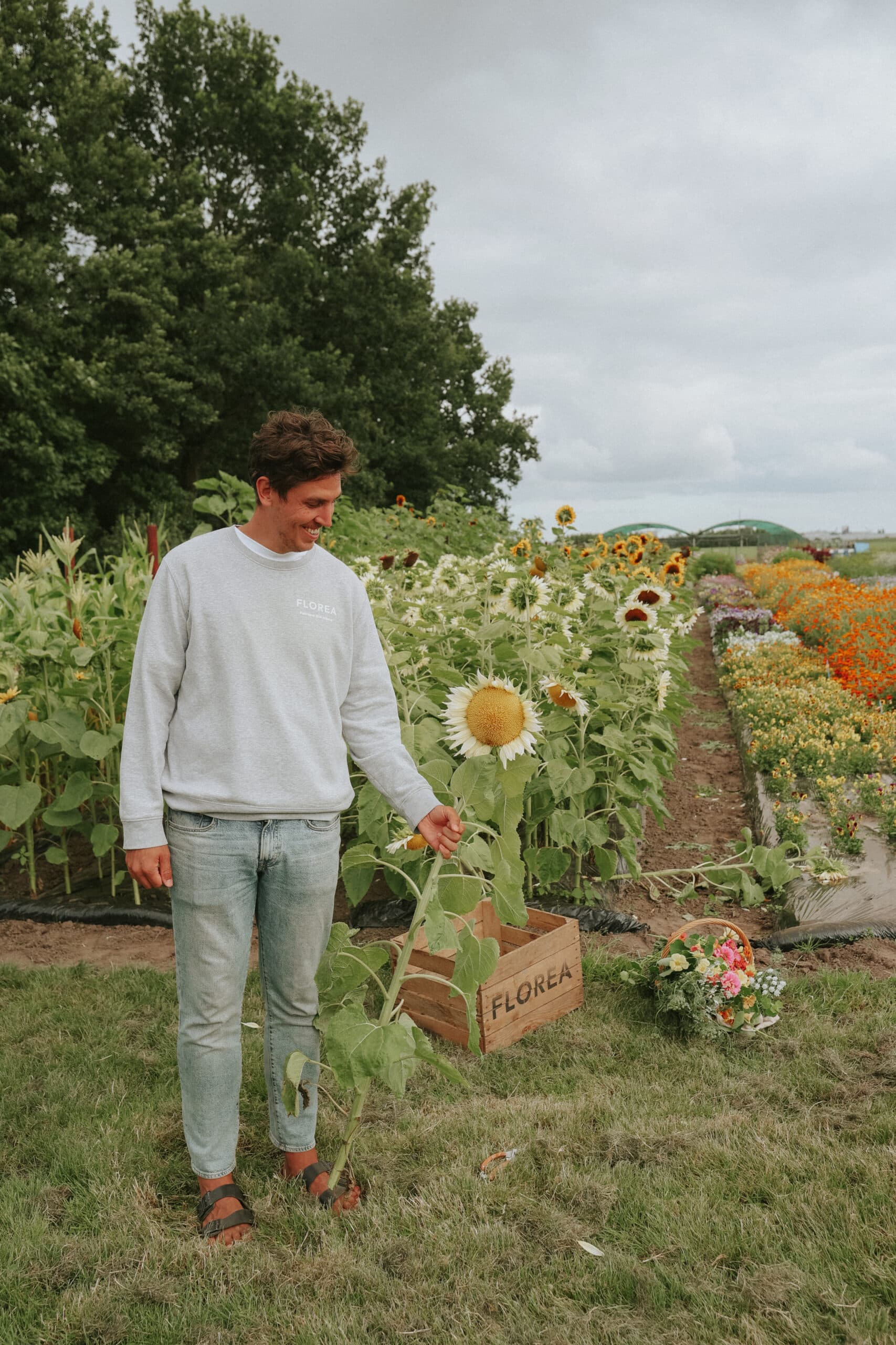 Gardening Is Easy