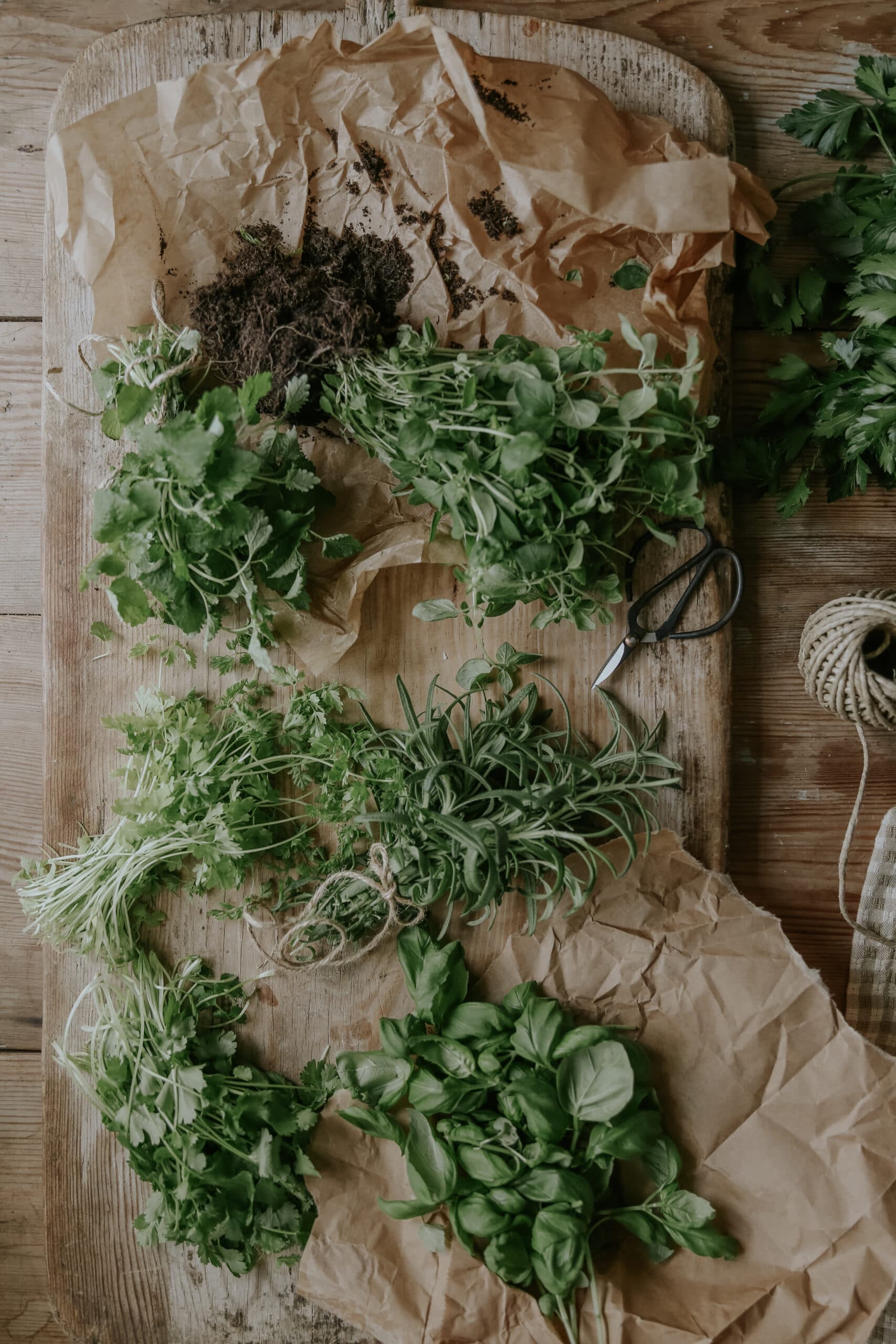 Grow Spices