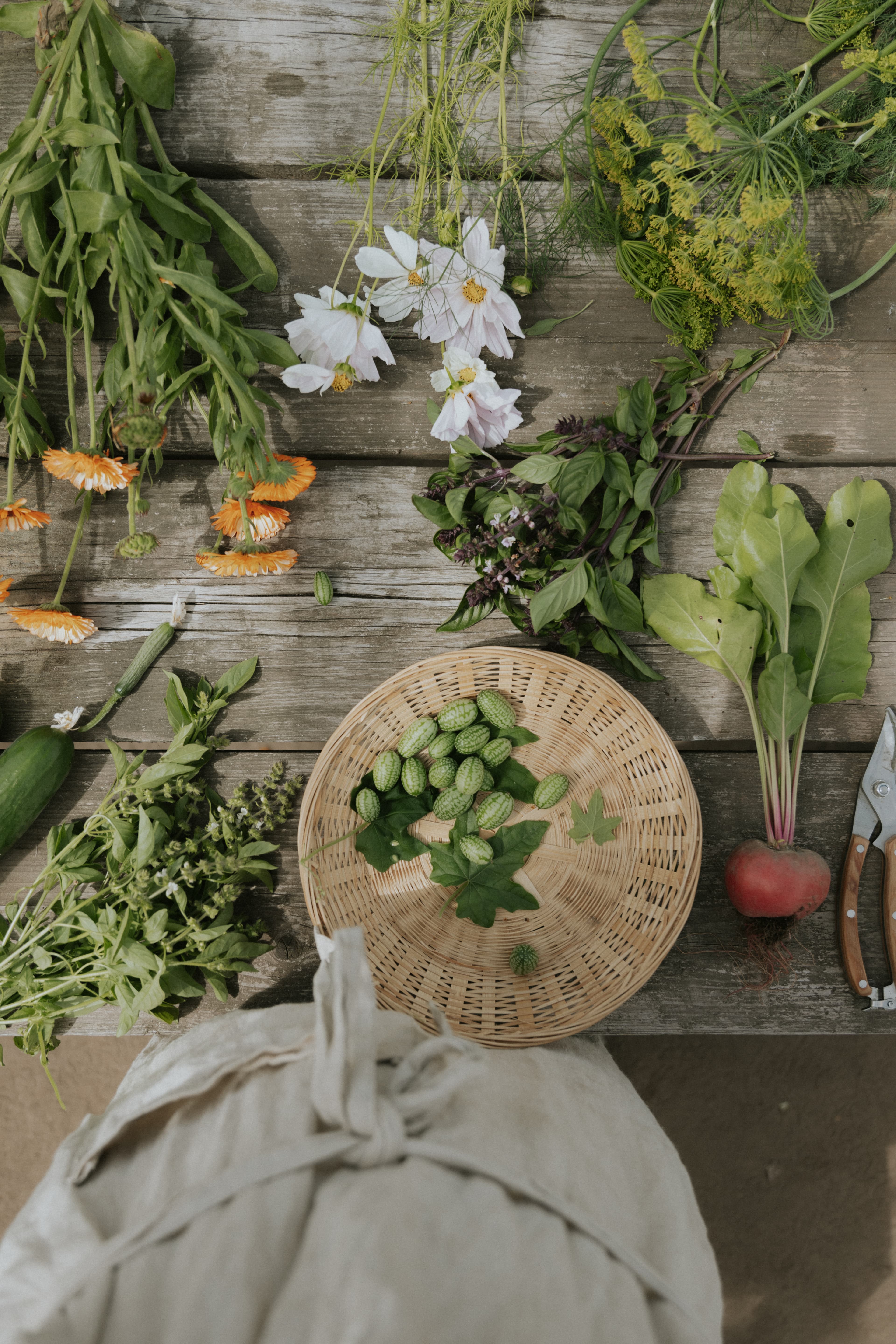 Légumes et fines herbes