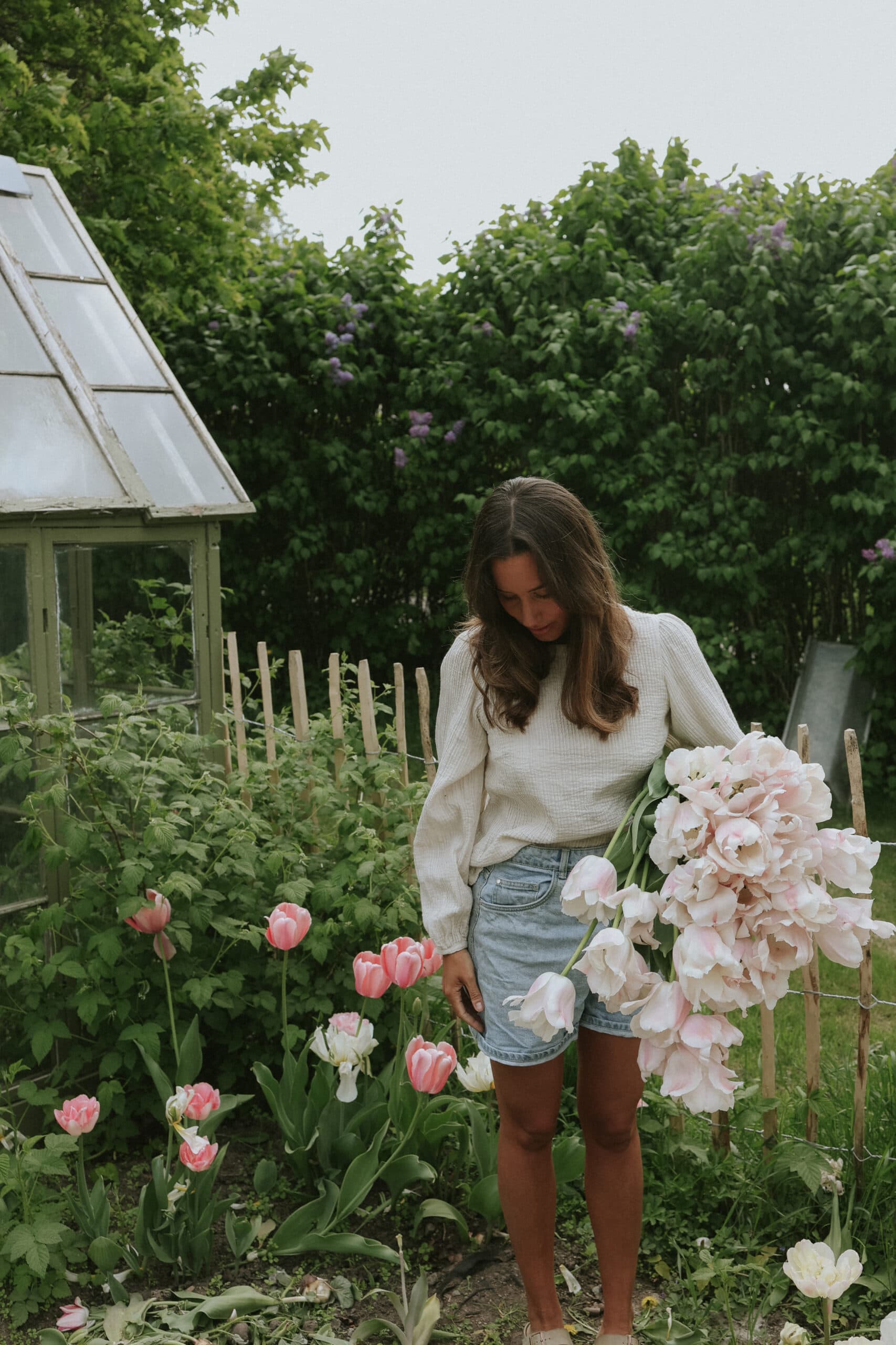 Plant Flower Bulbs