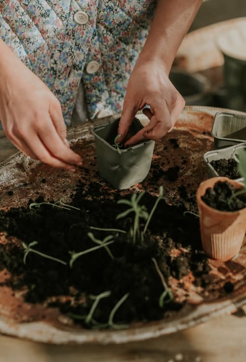 Learn To Pre-Cultivate