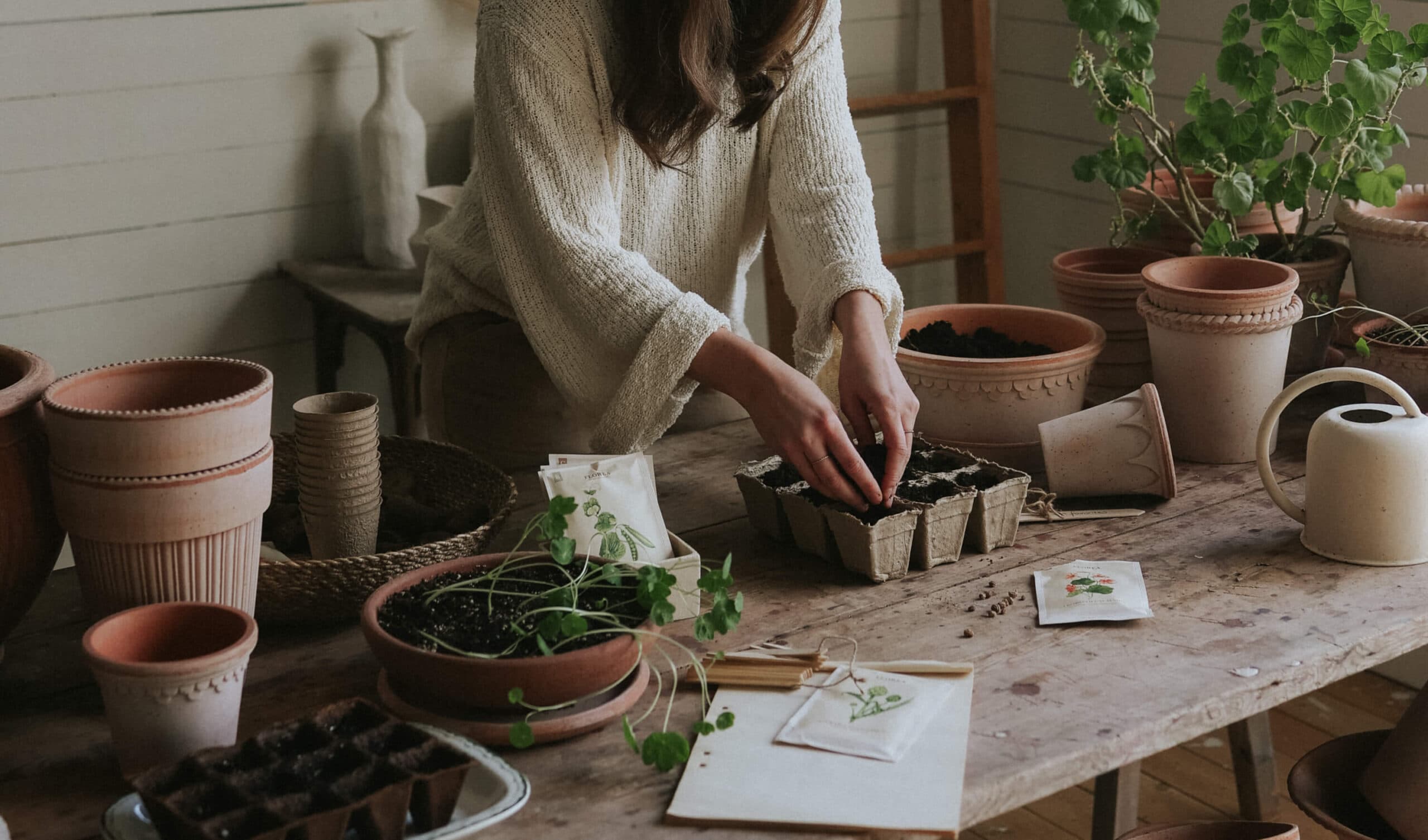 Seeds to grow in January