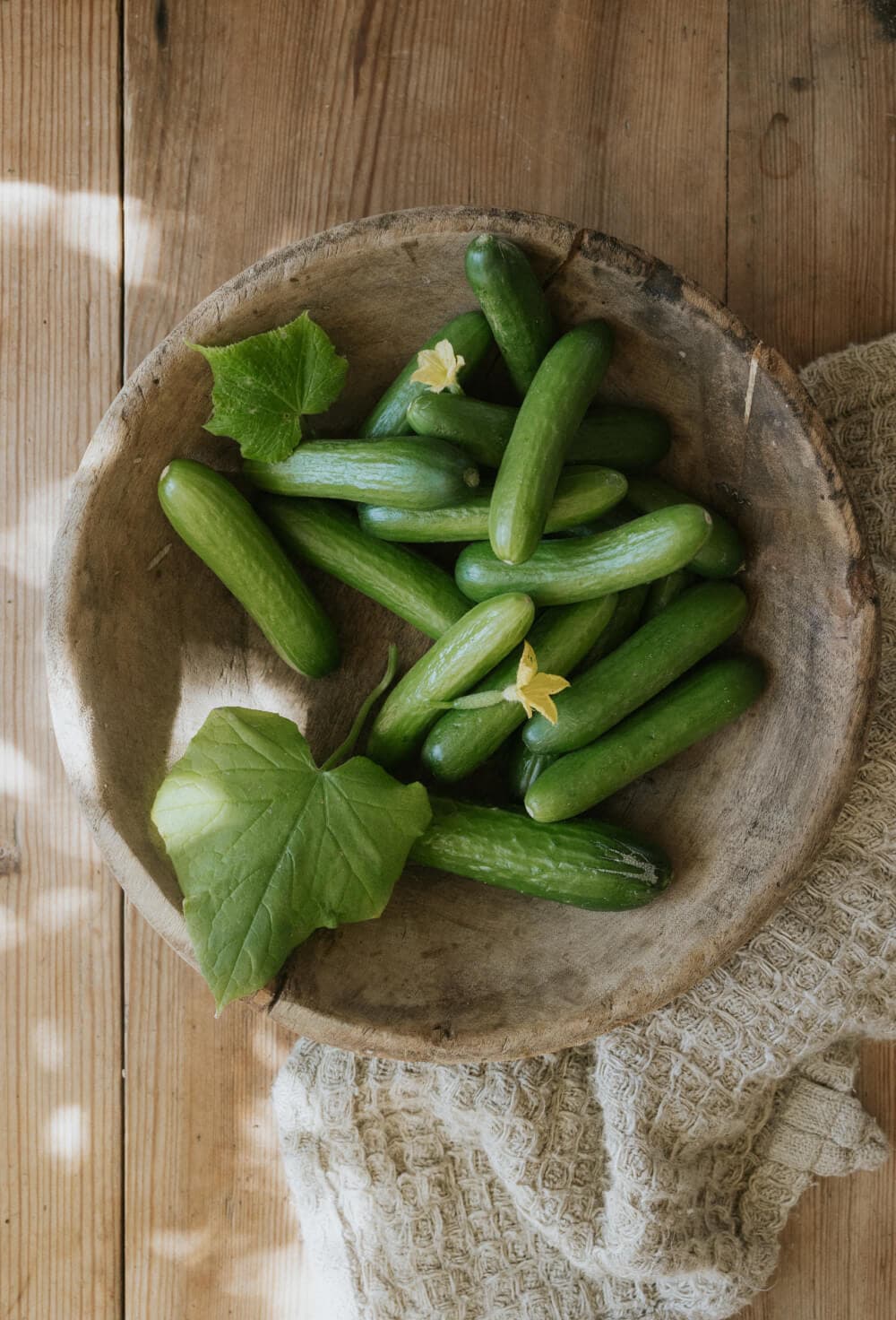 Varieties to grow in May