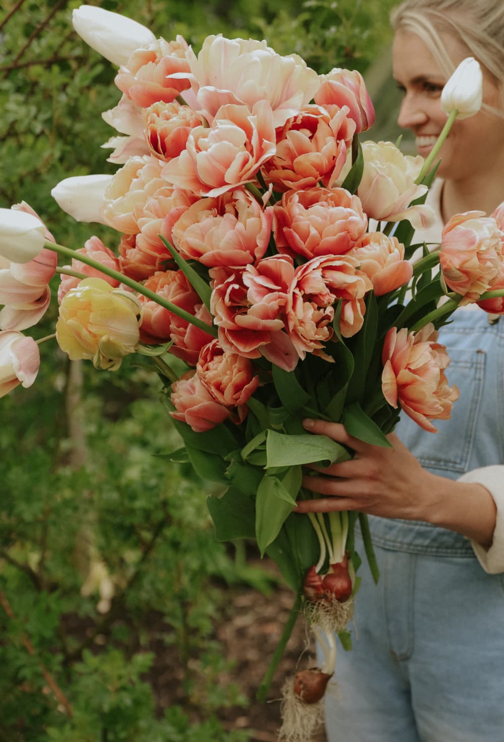 Autumn Bulbs