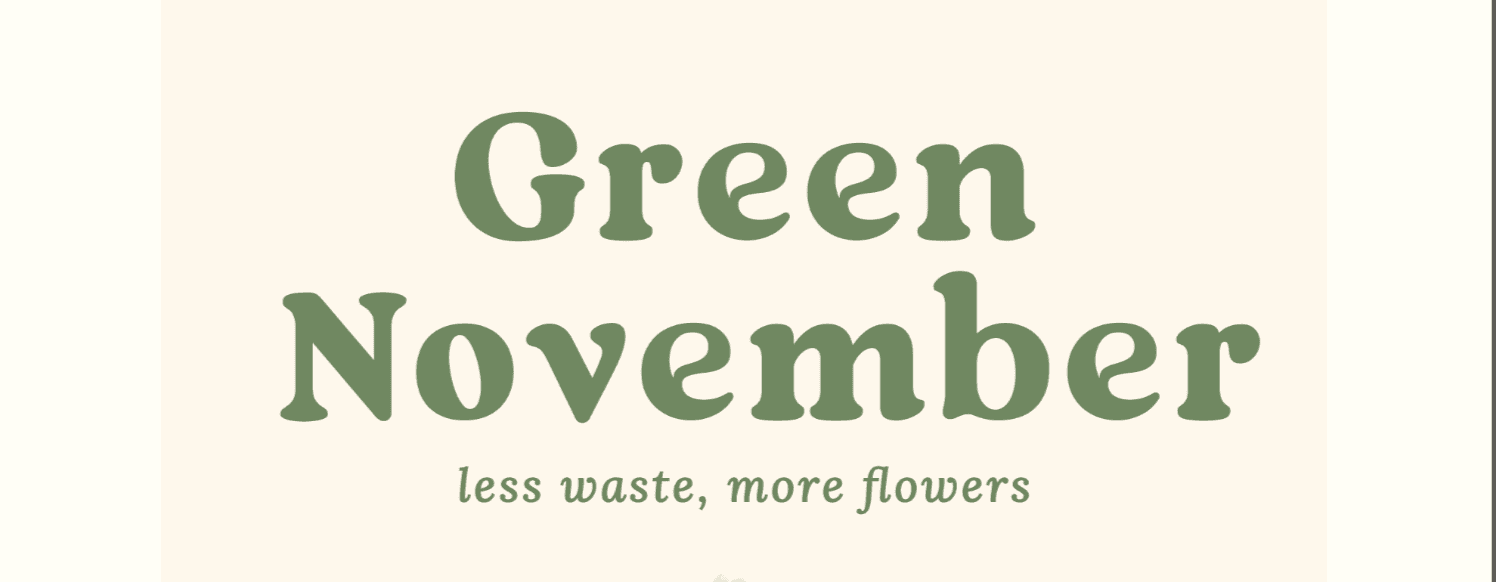 Green November - up to 50%