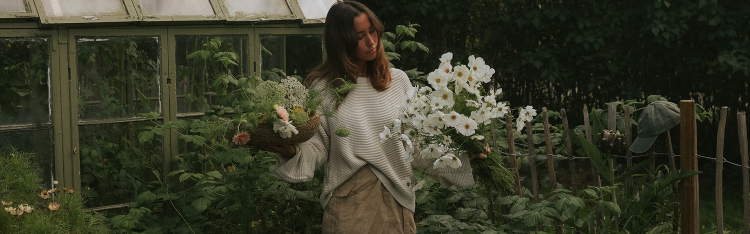 Fröer för direktsådd