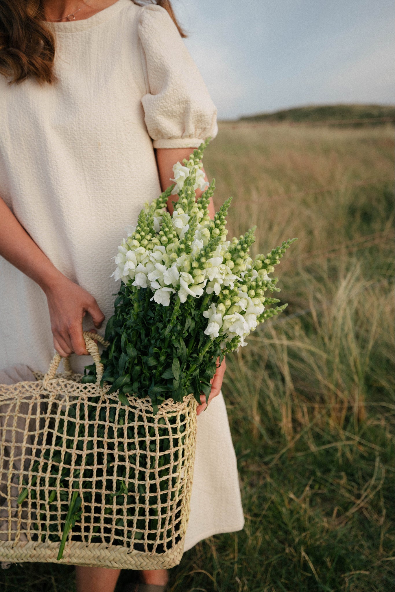 Fröer som är bra för snitt