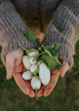 Aubergine - White Egg