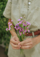 Vinget Hindebæger - Qis Lavender