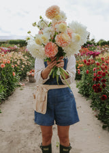 Dahlia Mix - Apricot Dream