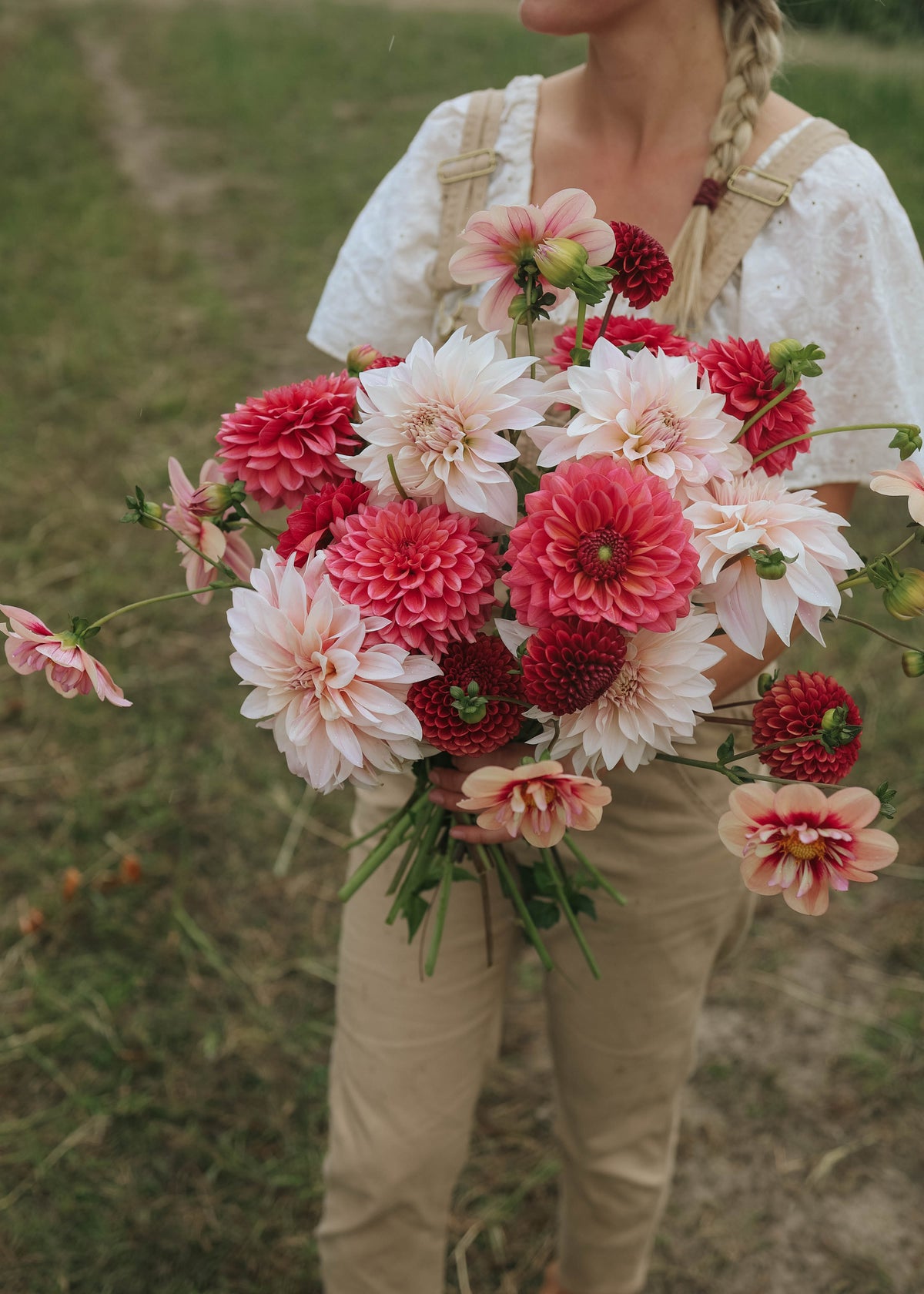 Dahliamix - Rhubarb Silk