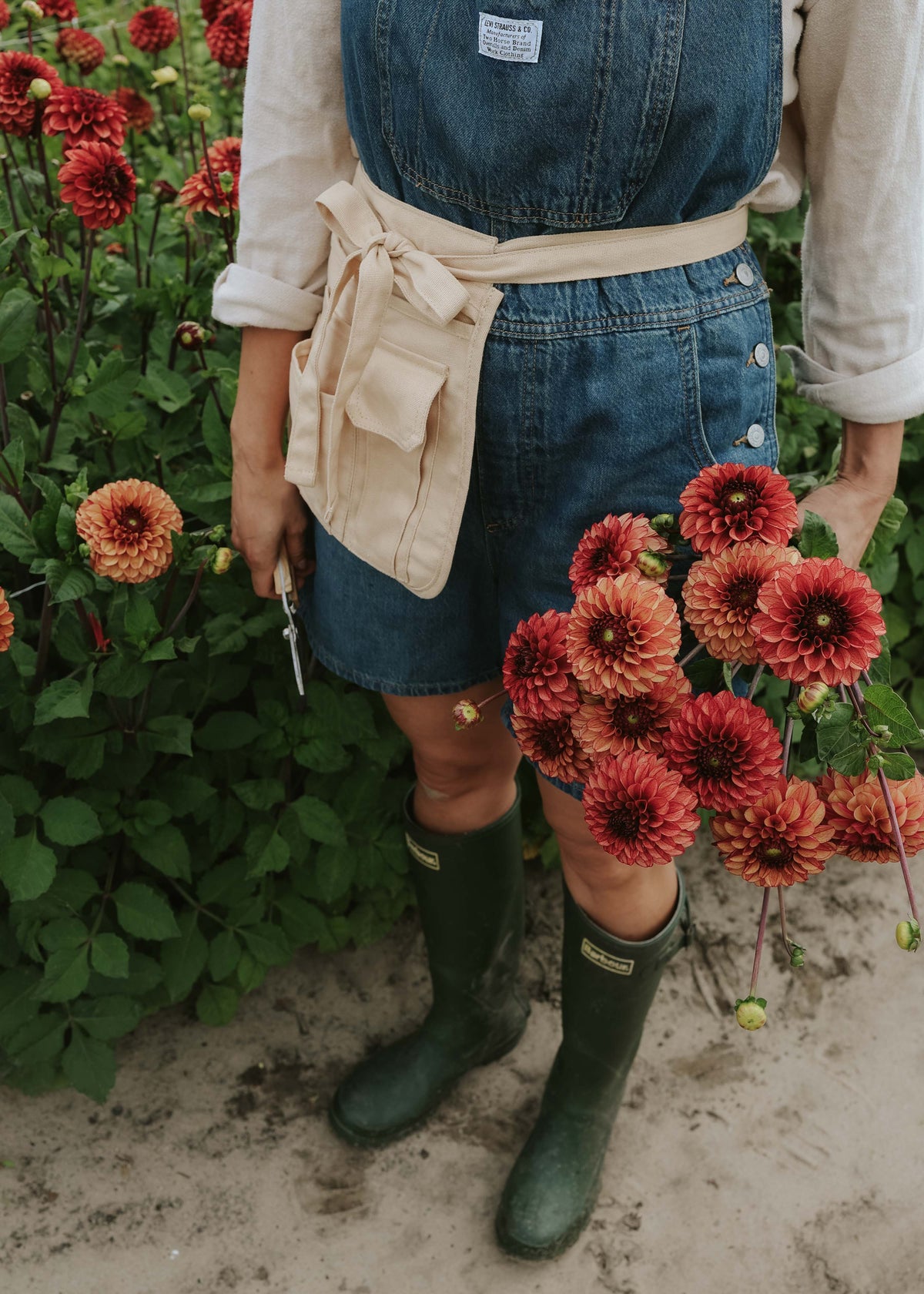 Dahlia - High Fidelity